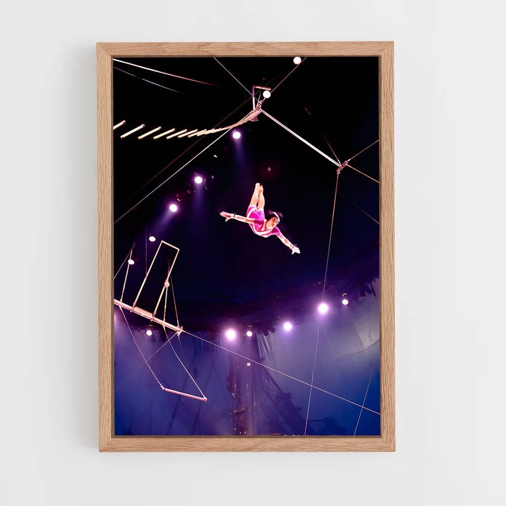 Poster L'Art de l'Acrobatie – affiche Cirque (vue 4)